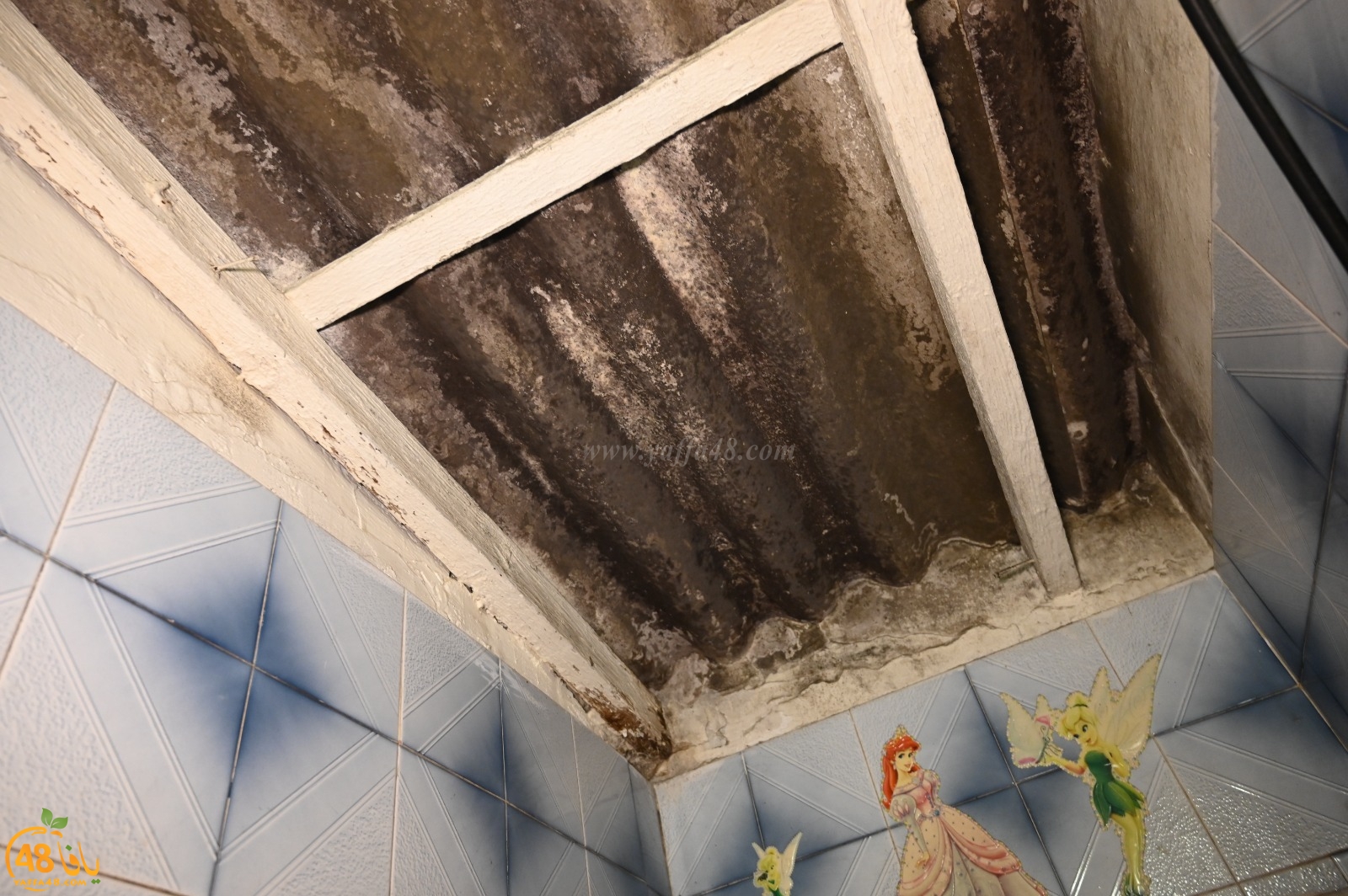 WhatsApp Image 2022-03-06 at 8.45.30 PM.jpg